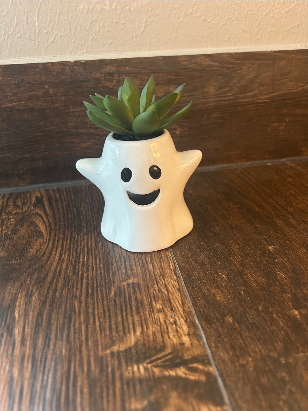White Ghost Ceramic Succulent Planter - Home Accents